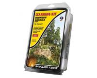 Bachmann Woodland Scenics LK956 / WLK956 Scenery Details Learning Kit (Starter Pack)