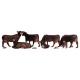 Woodland Scenics A1955 Black Angus Cows - HO Scale Figures (Suit Hornby OO Sets)