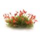 Woodland Scenics G6629 Red Flower Tufts (Also sold as Bachmann WG6629)